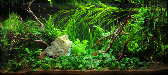 110801-Aqua3-klein.jpg