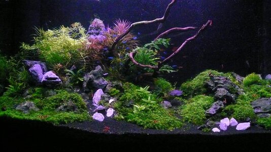 Aqua new 001_(1024_x_768).jpg