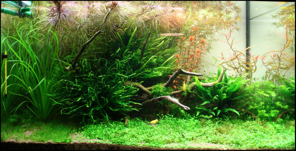 270l_front_nov.jpg