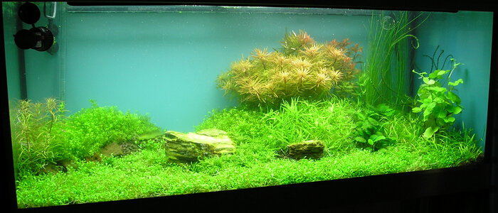 390er 091212 004.jpg