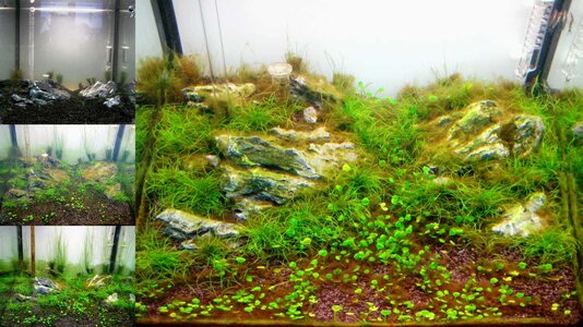 Tank 22082011.jpg