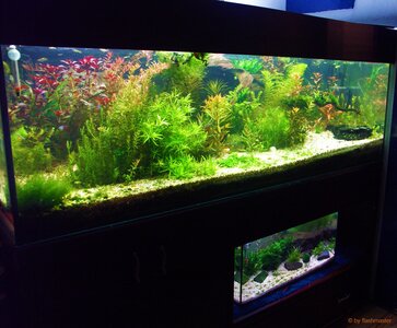 PICT1321.jpg