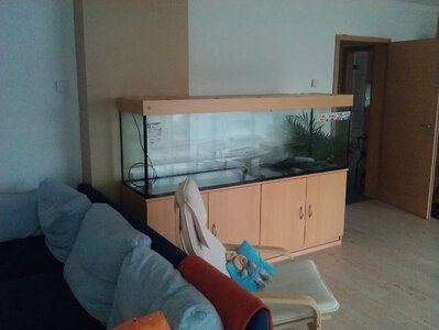 IMAG0097 Kopie.jpg