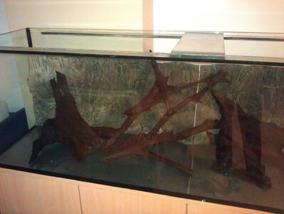 IMAG0108 Kopie.jpg