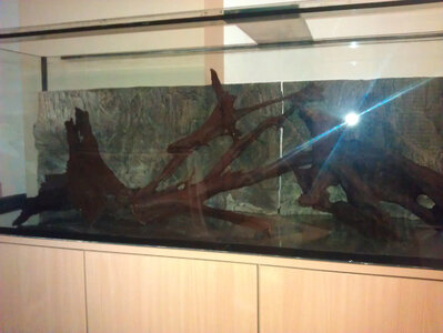 IMAG0109 Kopie.jpg