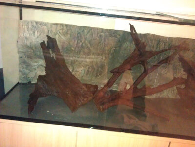 IMAG0112 Kopie.jpg