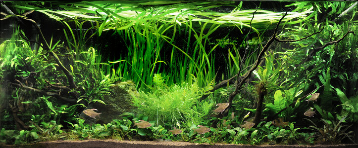 110826-Aqua3-klein.jpg