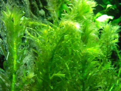 Foto001.jpg