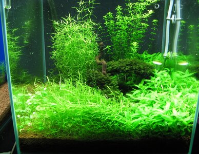 pf120911 009.jpg