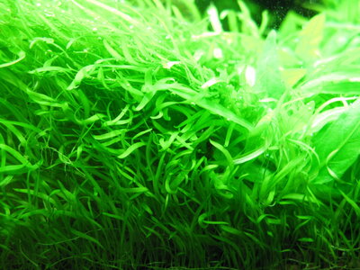 pf120911 012.jpg