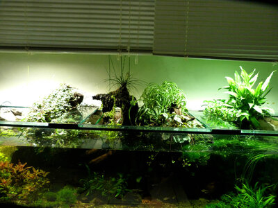 P1000716.jpg