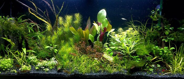 220920113543_1.jpg