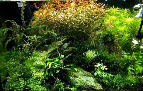 210920113534_1.jpg