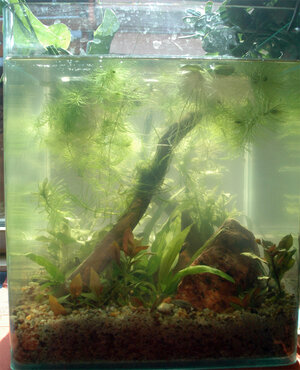20L-Notech-Becken.jpg