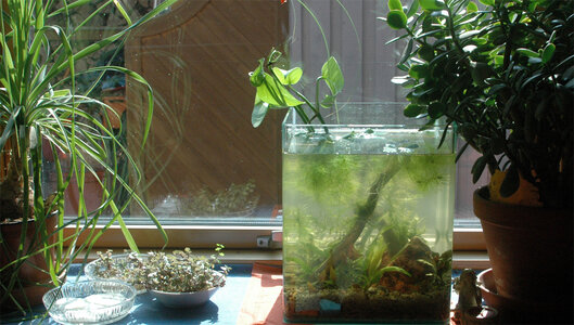 20L-Notech-Fenster.jpg