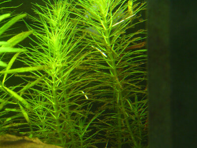 CIMG2557_2.jpg