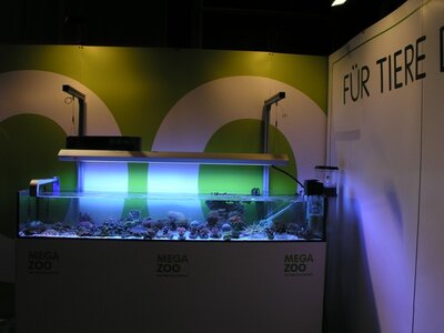 2011 Zierfisch&Aquarium6.JPG