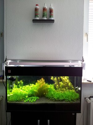2011-09-24 12.30.23.jpg