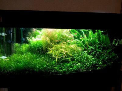 2011-09-09 20.39.05.jpg