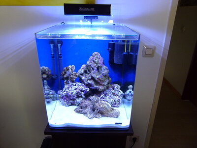 maxspect 60 w led.JPG