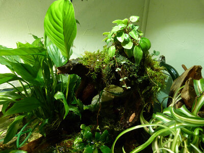 AQ_900_111002_16.jpg