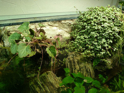 AQ_900_111002_17.jpg