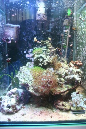 aquariumq (Kopie).jpg