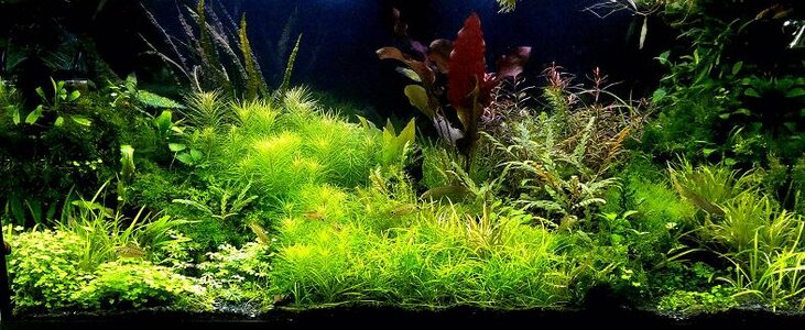 151020113708_1.jpg