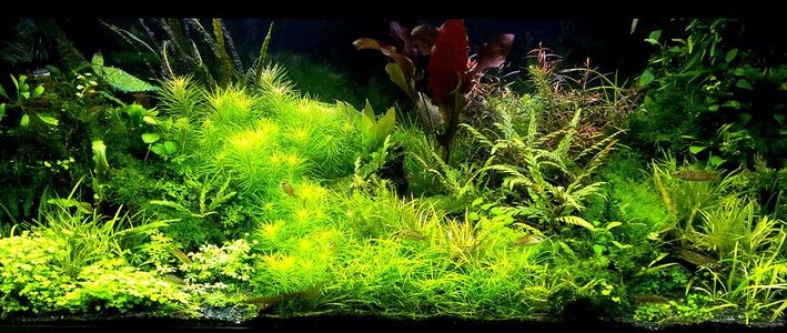 151020113714_1.jpg