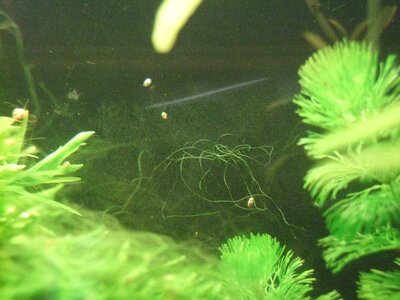 DSCF0663.JPG