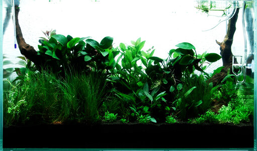 Aquarium_Tag3_Front.jpg