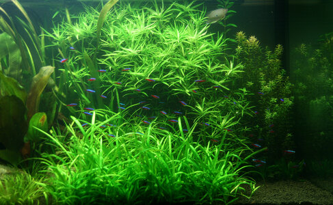 Aquarium_Ansicht 8.jpg