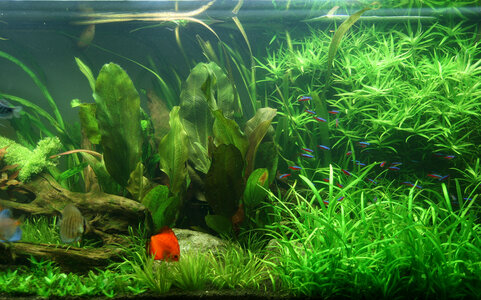 Aquarium_Ansicht 7.jpg