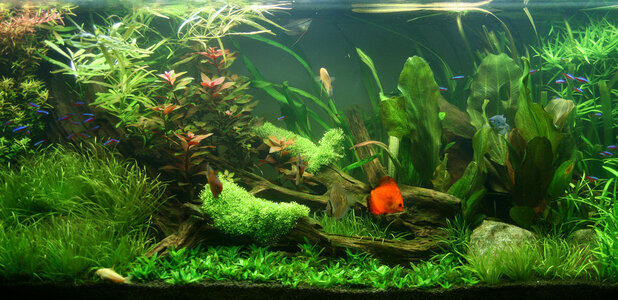 Aquarium_Ansicht 6.jpg