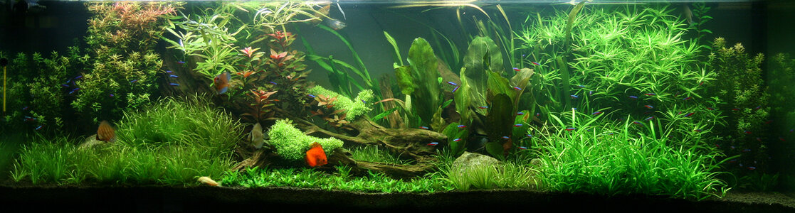 Aquarium_Ansicht 2.jpg
