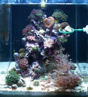 PA215927 (2).JPG