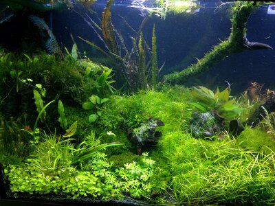 221020113906_1.jpg