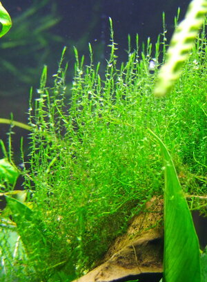 DSCF7289.jpg