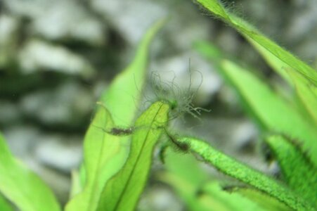 IMG_5663.JPG