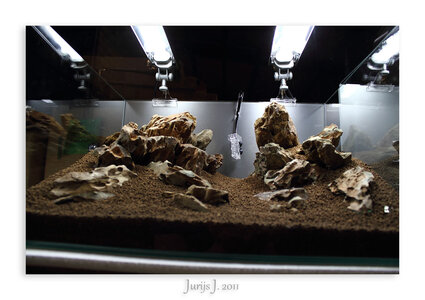 IMG_2380ps.jpg