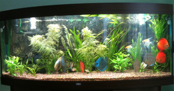 aquarium.jpg