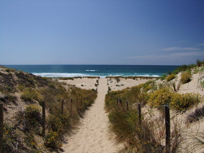 Cap Ferret.jpg