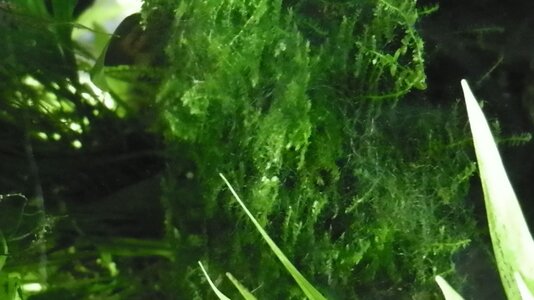 PICT0001.JPG