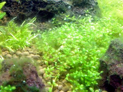 IMG_20111123_201556[1].jpg