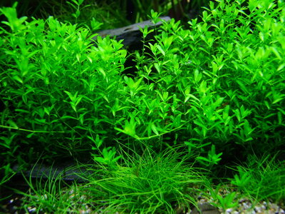 DSCF8122.jpg