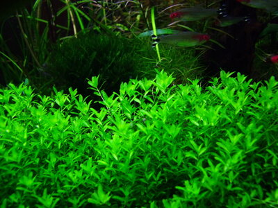 DSCF8123.jpg