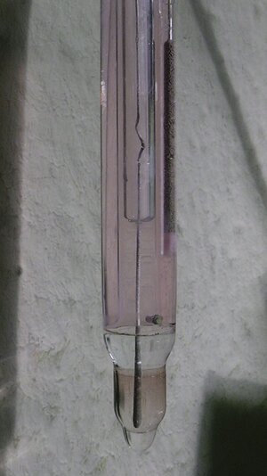 S1070003.JPG