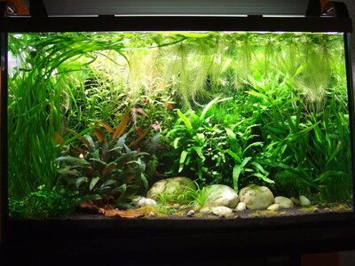 aqua_front09.jpg