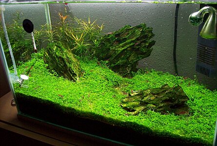 25l 2.JPG