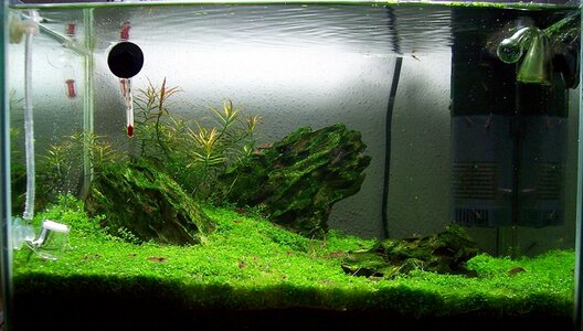 25l 1.JPG